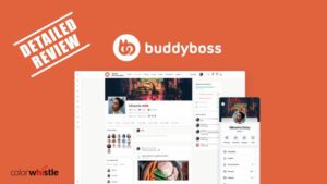 BuddyBoss Platform – Detailed Review