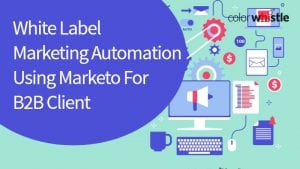 Marketing Automation Using Marketo for White Label B2B Client